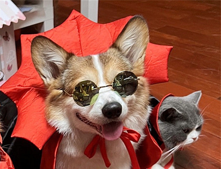 Aromea | Pet Costume-Pet Costume Halloween Cape Vampire King AROMEA