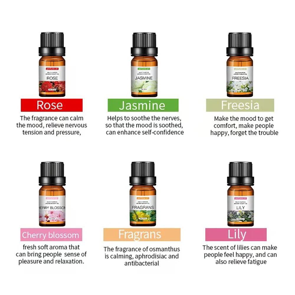 Aromea | 12 x 10ml Essential Oils Set - Home & Office,Natural Aromatherapy AROMEA