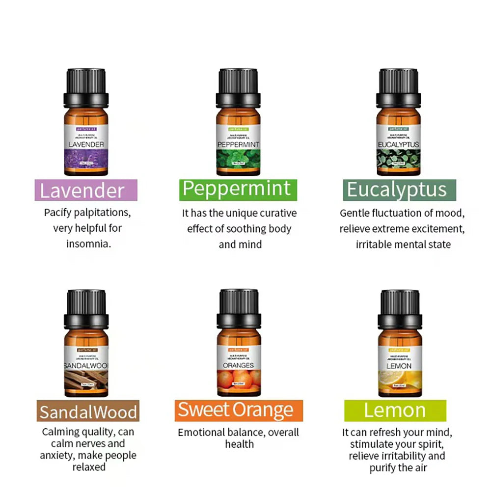 Aromea | 12 x 10ml Essential Oils Set - Home & Office,Natural Aromatherapy AROMEA