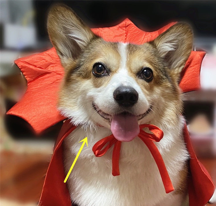 Aromea | Pet Costume-Pet Costume Halloween Cape Vampire King AROMEA