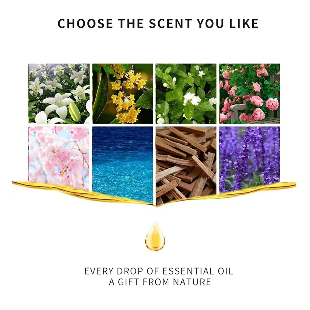 Aromea | 12 x 10ml Essential Oils Set - Home & Office,Natural Aromatherapy AROMEA