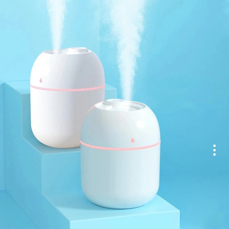 250ml  USB  Mute Large Spray Humidifier  Aromatherapy diffuser Fragrant garden