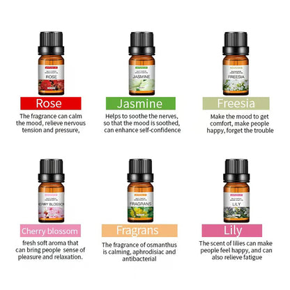 Aromea | 12 x 10ml Essential Oils Set - Home & Office,Natural Aromatherapy AROMEA