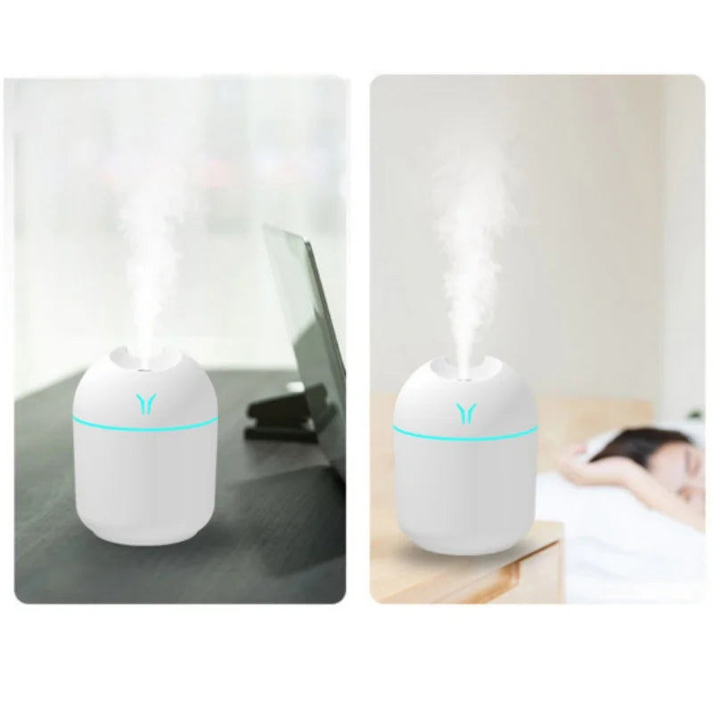 250ML LED Ambient Light  USB Mini Humidifier Aroma  Diffuser Fragrant garden